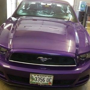 Meet your Posher, Roger